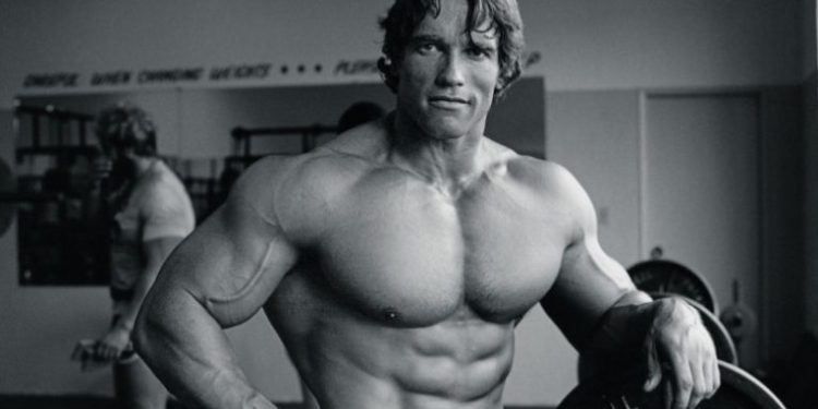 Arnold Golden Six eli kultainen kuusikko on oiva ohjelma aloittelijalle