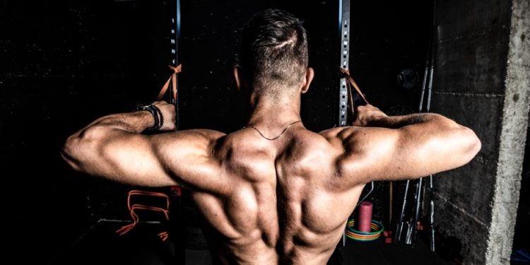 Selkätreeni ja parhaat selkäliikkeet