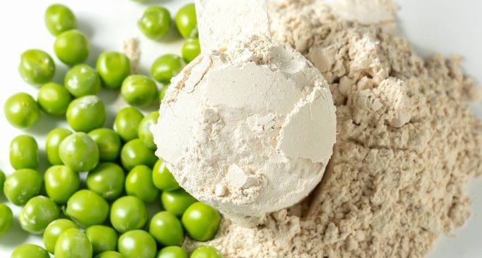 Paras herneproteiinijauhe