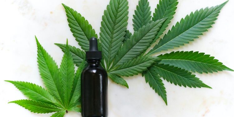 Paras CBD öljy vertailu