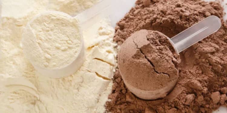 Parhaan makuinen proteiinijauhe